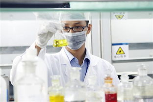 新高考“3+1+2”模式下，选定物理或历史后，剩余两科如何科学抉择？—— 一份全面的信息咨询服务指南